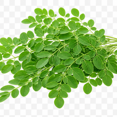 Moringa Leaf Powder 150g