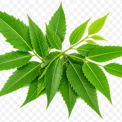 Neem & Tulsi Combo Pack